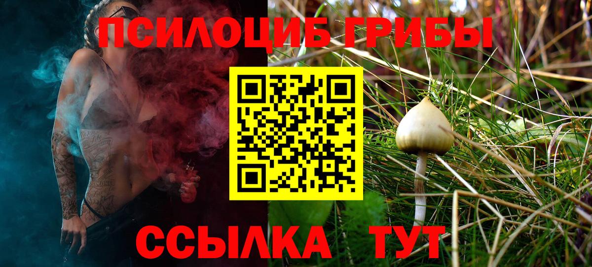 Нефтеюганск  Псилоцибиновые грибы мицелий  Вход с VPN  Псилоцибиновые грибы Psilocybine cubensis 